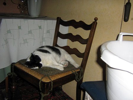 Unsere Katze Jette geh&ouml;rt auch zum Haus