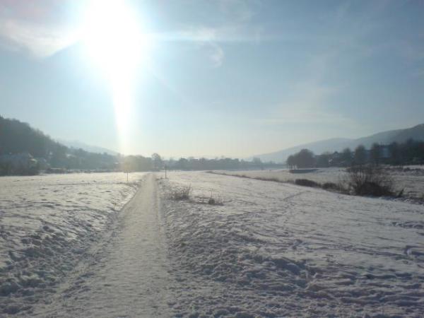 Winterbild