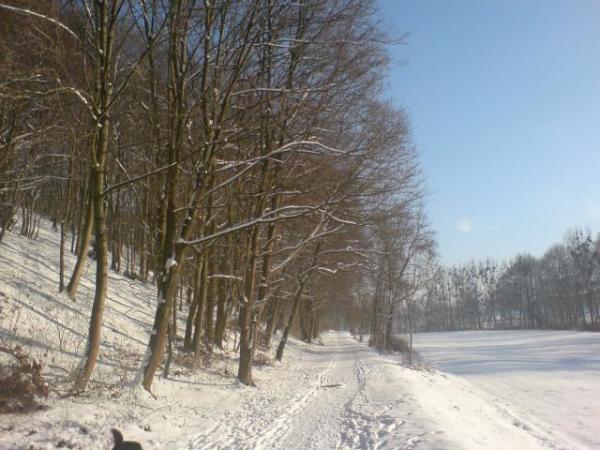 Winterbild